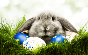 easterbunnyweb